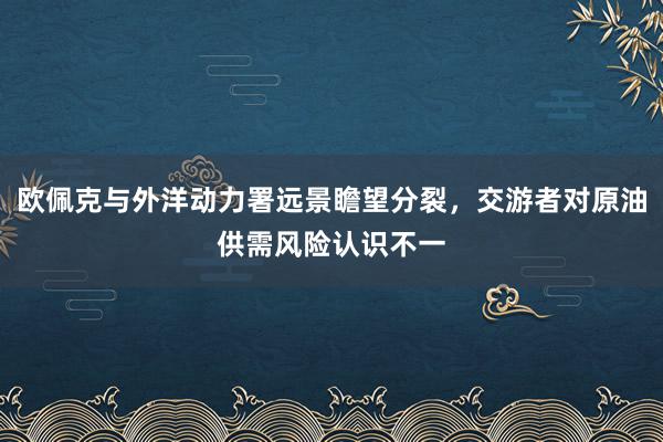 欧佩克与外洋动力署远景瞻望分裂，交游者对原油供需风险认识不一